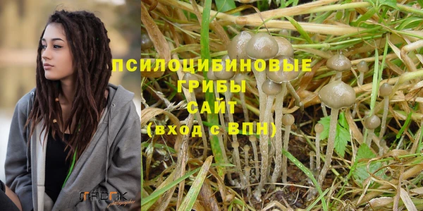 альфа пвп Белокуриха