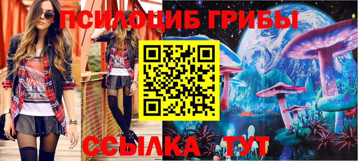 Воскресенск  Псилоцибиновые грибы Psilocybe  Вход с VPN 